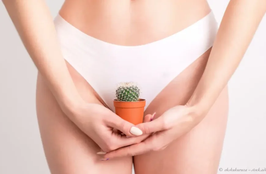 Brazilian Waxing hilft Frau mit stacheligem Kaktus im intimen Bereich